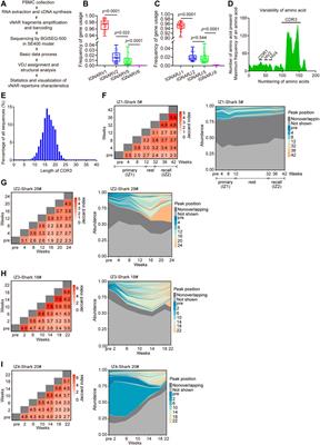 Bamboo Shark as a Small Animal Model for Single Domain Antibody Production